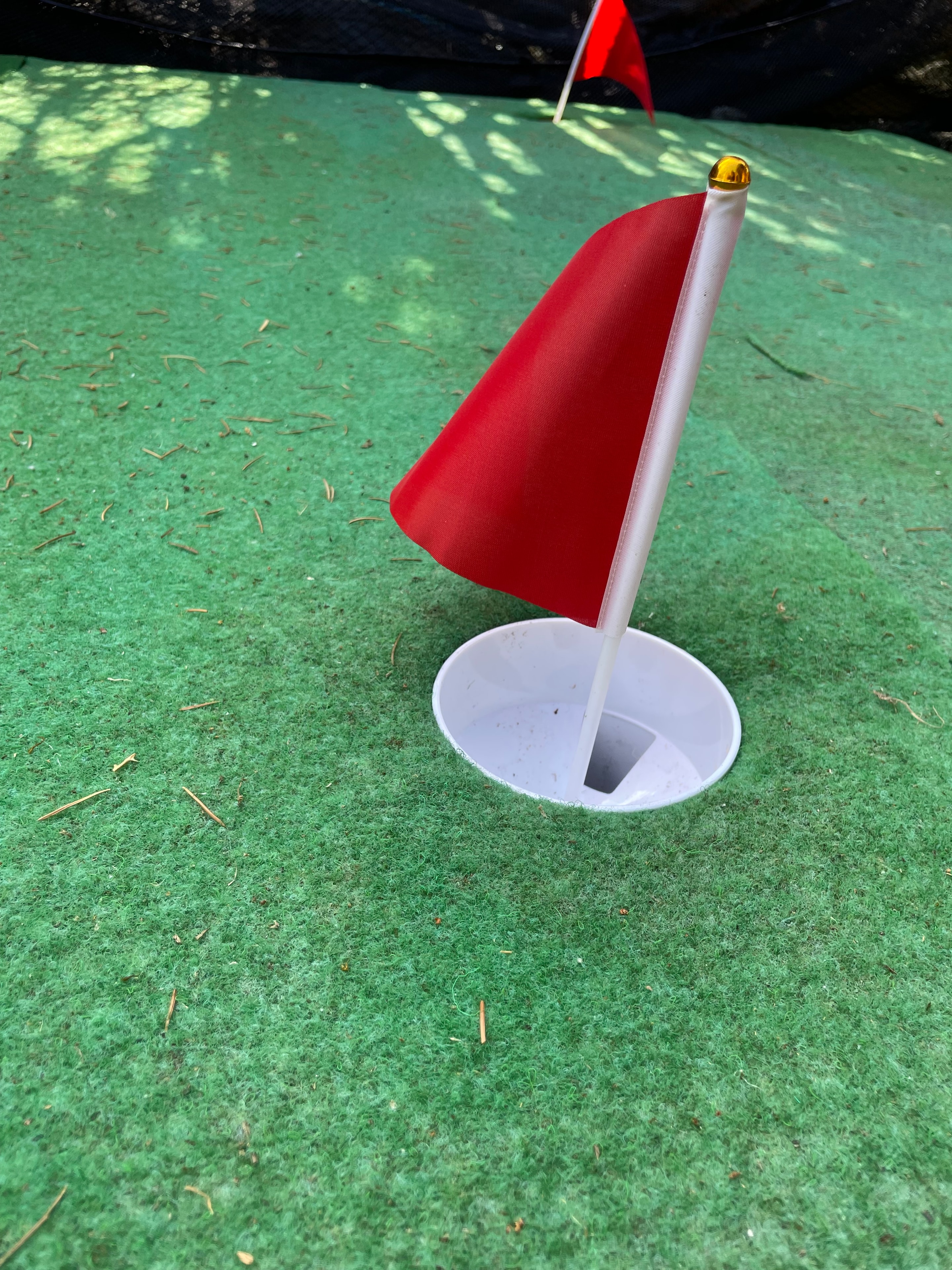 Flag in cup on a finished putting green